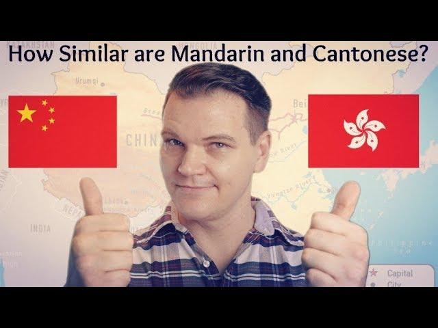 How Similar Are Mandarin and Cantonese?