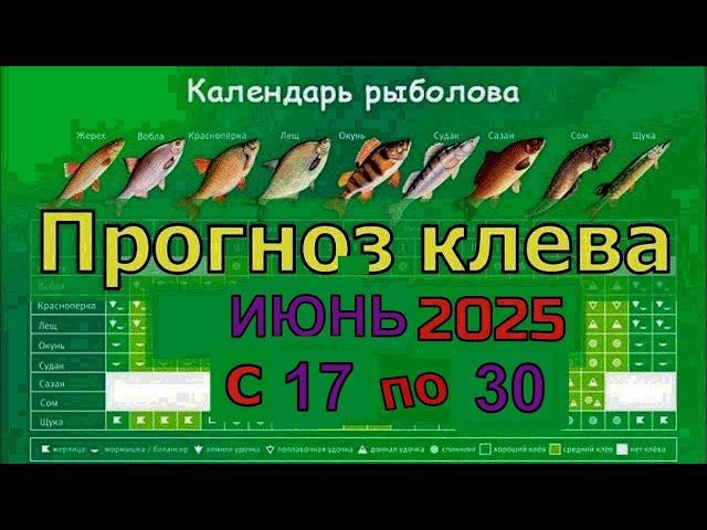 Когда лучше клюет рыба на этой неделе с 20 июня по 30 Июня 2025