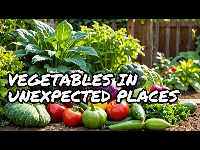 Homegrown goodness: Side house veggie garden