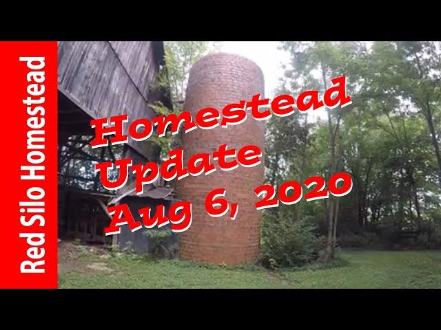 Red Silo Homestead Update Aug 6, 2020