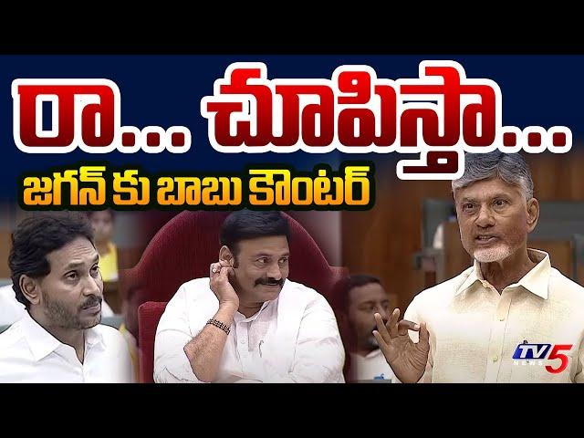 CM Chandrababu Naidu Challenges YS Jagan Over AP Debts | AP Assembly |  TV5 News