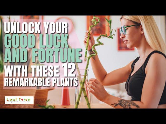 12 Best Fortune Plants that Attract Money and Success! | Vastu Plants | Feng Shui | Leaf Town