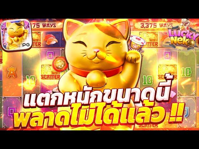 สล็อตแมวทอง สล็อตแมวนำโชค สล็อตลัคกี้เนโกะpg lucky neko แมวพีจี สล็อตลัคกี้เนโกะล่าสุด วันนี้ 2024