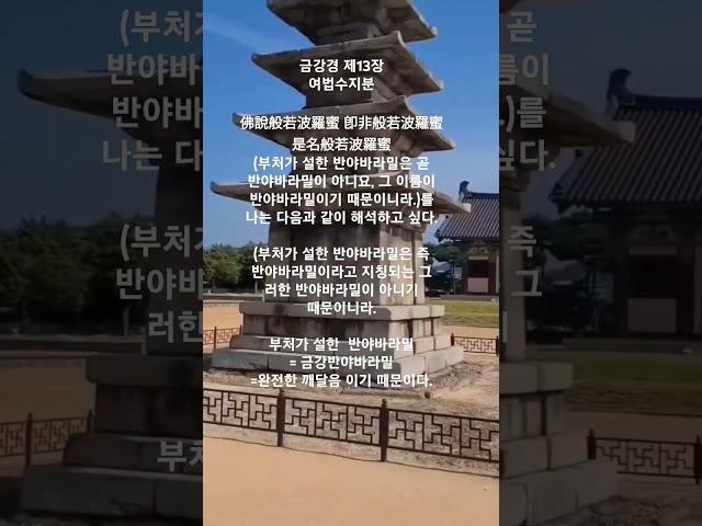 금강경 제13장에서 부처가 설한 반야바라밀은 무엇인가?   #shorts #불교