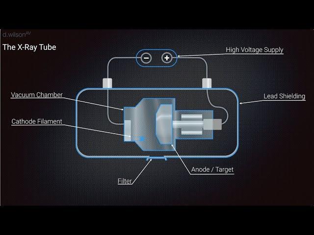 X Ray Production Animation