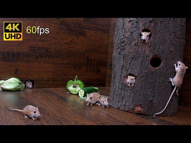 Cat TV mice fun for cats to watch | Adorable mice jerry hole hide & Seek 8 hour 4k 60fps