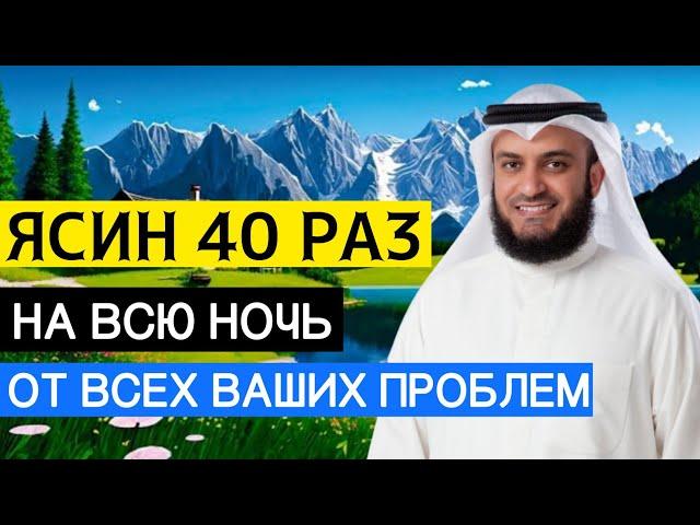 СУРА ЯСИН 40 РАЗ ОТ ВСЕХ ПРОБЛЕМ. ИН ШАА АЛЛАХ! SURAH YASSIN