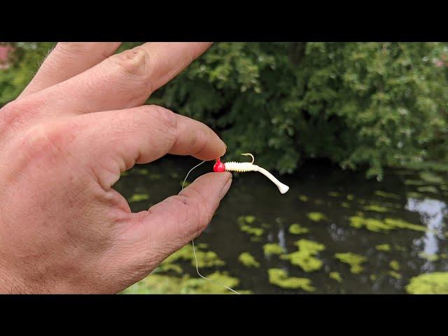 This Little Lure is a Fish Catching Machine!