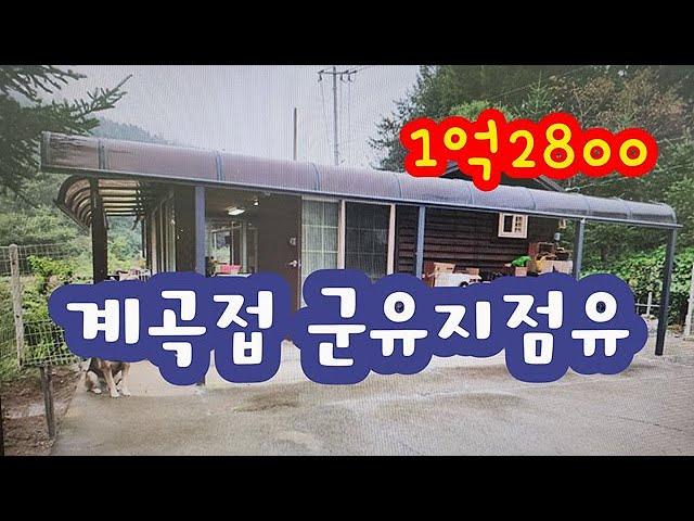 계곡접소형주택!!!구거점유100평,텃밭넓은집.1억2800만원 #횡성전원주택# 횡성부동산 #횡성급매물  #횡성소형주택  #강원도부동산