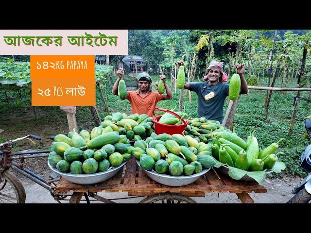 অল্পের জন্যে ১ মন পেঁপে নষ্ট হয়নাই আজকে। ১৪২ কেজি পেঁপে ও ২৫ পিছ লাউ বিক্রি করলাম #agriculture