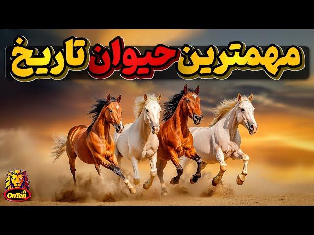 اسب، دوست نجیب و مهمترین حیوان تاریخ بشر