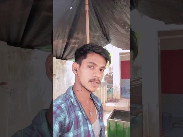 #song #https #love