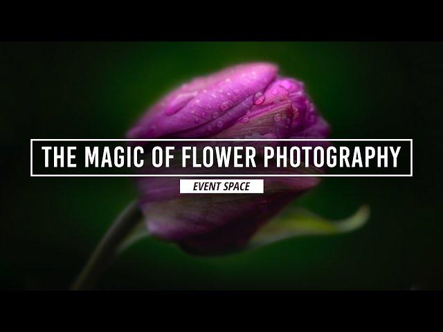 The Magic of Flower Photography with Anne Belmont | B&H Event Space