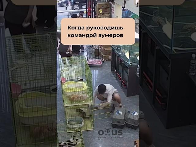 Трудовые будни #otus #мем #трудовыебудни #зумер #юмор #ithumor #it