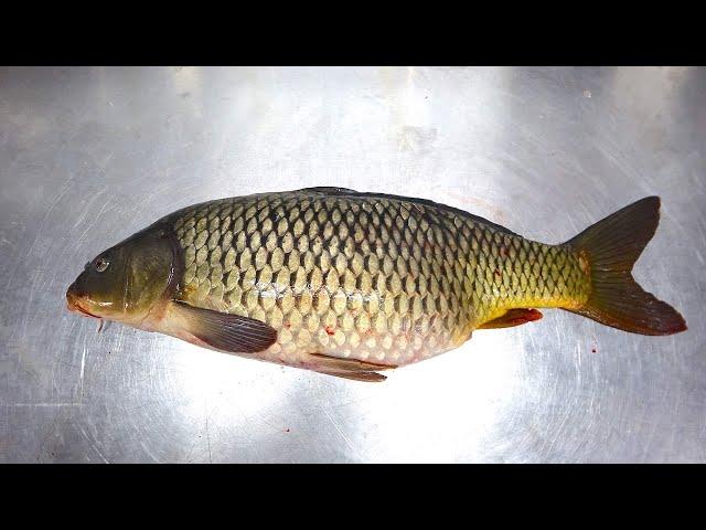 How to Fillet, Score, & Fry a Carp - Common Carp