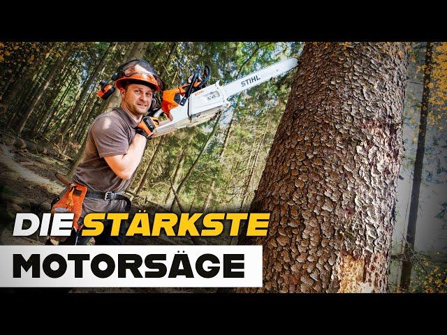 STIHL MS 881  - Die stärkste Motorsäge am Markt