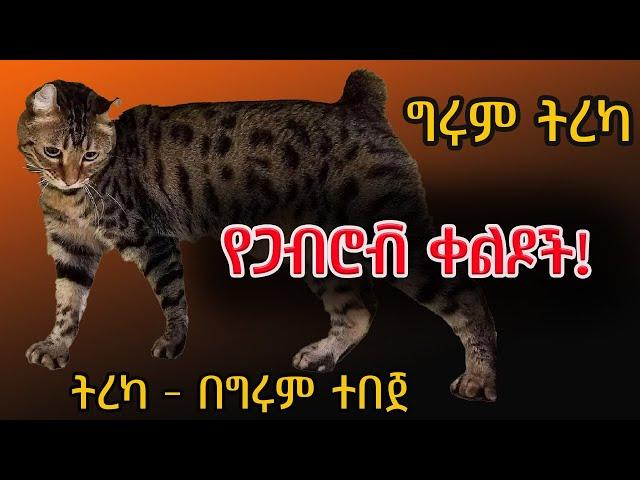 ቀልዶች ከጋብሮቭ ምድር! ትረካ - በግሩም ተበጀ Girum Tebeje @GirumTereka