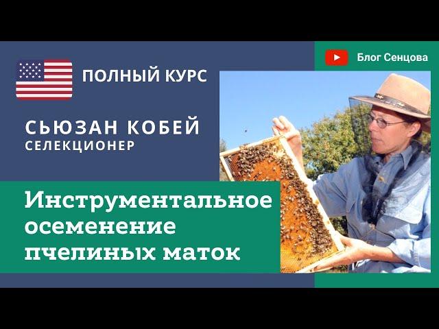 Инструментальное осеменение пчелиных маток со Сьюзан Кобей. Новый ПОЛНЫЙ видеокурс (США)