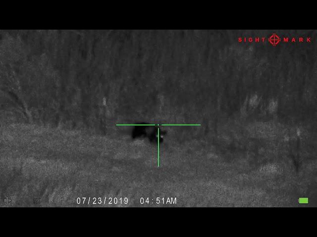 Sightmark Wraith HD -  Craig Meyer - Slob Boar Hog Spotted