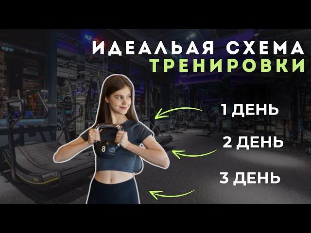 Идеальный план тренировок за 5 минут с 0