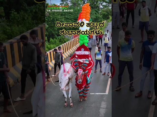 #happy Diwali#bagheera Kannada movie#Karnataka Bull racing