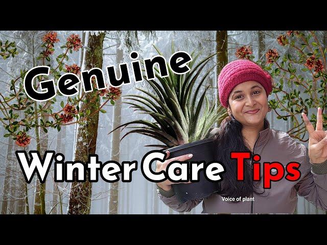 8 TIPS सर्दियों में कैसे करे देखभाल - HOW TO CARE PLANTS IN WINTER  #wintercare #gardening  #plants