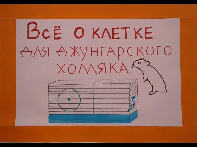 Все о клетке для джунгарского хомяка