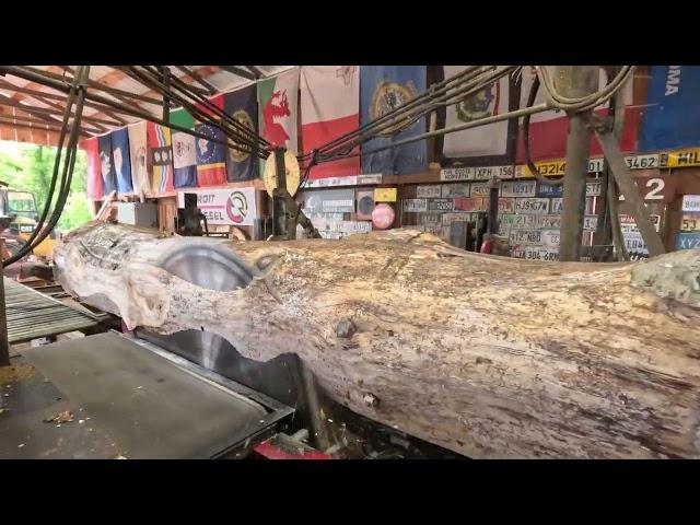 sawing a 12 foot white pine log into 1x12s # 562