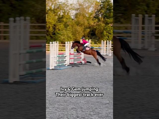 Ivy & Gem jumping 1.05 course #horse #equestrian #pony #horseriding #showjumping #jump #horseshow