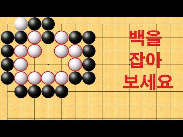 바둑 묘수 사활 - 기상천외 묘수로 백을 잡아보세요