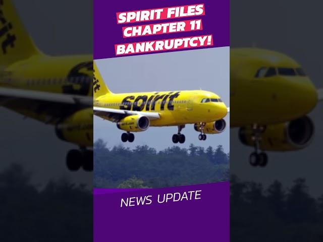 Spirit Airlines files for bankruptcy #spiritairlines #airlines #economy #news #flights #trending