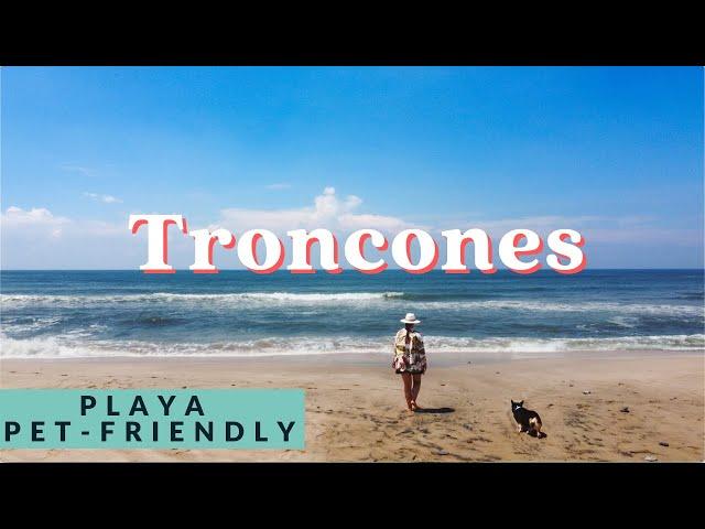 Explorando Troncones, Guerrero con mi perro | playa pet friendly