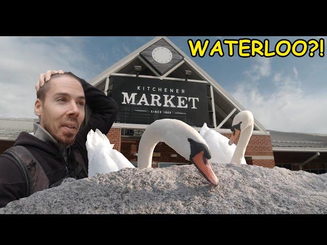 Is Kitchener Waterloo The WORST City in Canada to Live?