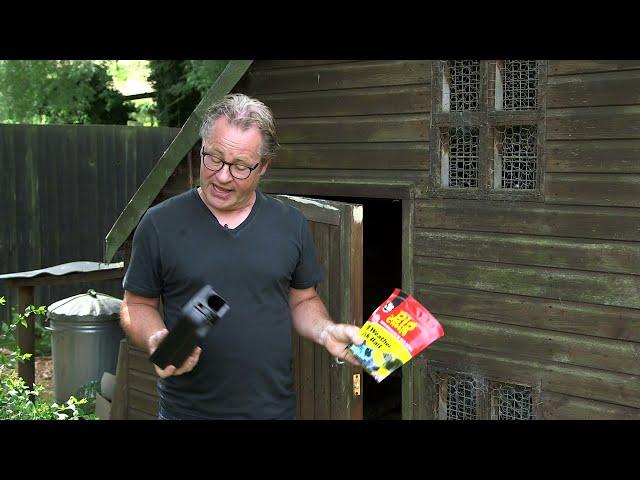 Bait And Kill Treatments To Protect Your Outbuildings From Rats - COM126