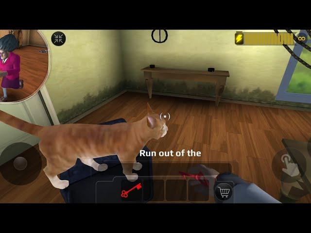 Scary Teacher 3D Free The Cat