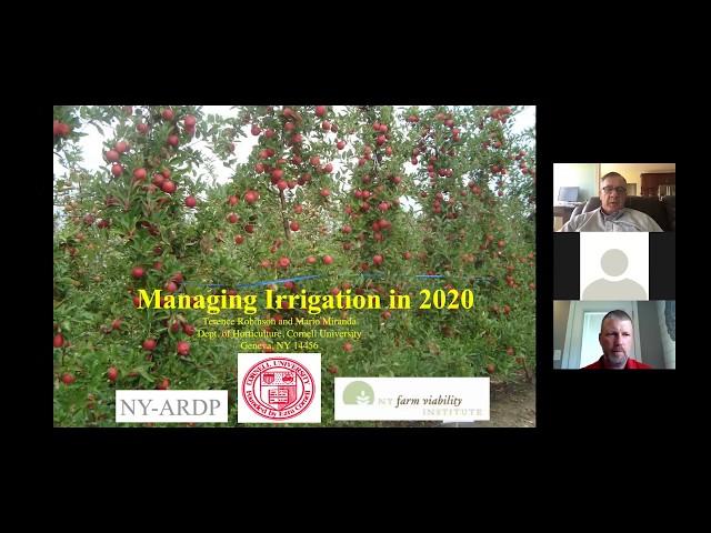 Summer Fruit Series - Managing Irrigation in Apple Orchards this Season