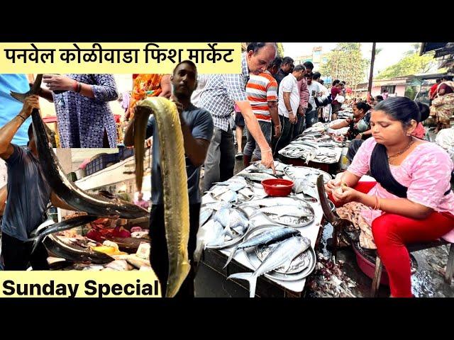 उरण नाका पनवेल कोळीवाड्या मधली मोठी मोठी मासळी । Uran Naka Fish Market Panvel koliwada Navi Mumbai