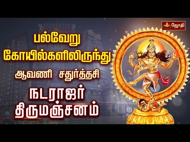 பல்வேறு கோயில்களிலிருந்து ஆவணி சதுர்த்தசி - நடராஜர் திருமஞ்சனம் | jothitv