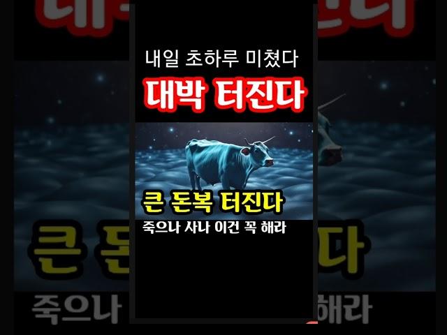 "내일 초하루 미쳤다! 대박 터진다! 무조건 이걸 꼭 땅에 묻어라! 이런 날은 놓치면 후회한다" 지금 돈복 터지는 내일 초하루 백두대간 풍수 기원 접수중! 스파로또를 선물합니다