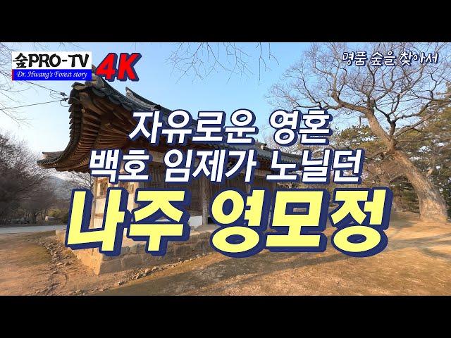 백호 임제가 노닐던 나주 영모정 4K(Iphone14), 숲프로 TV