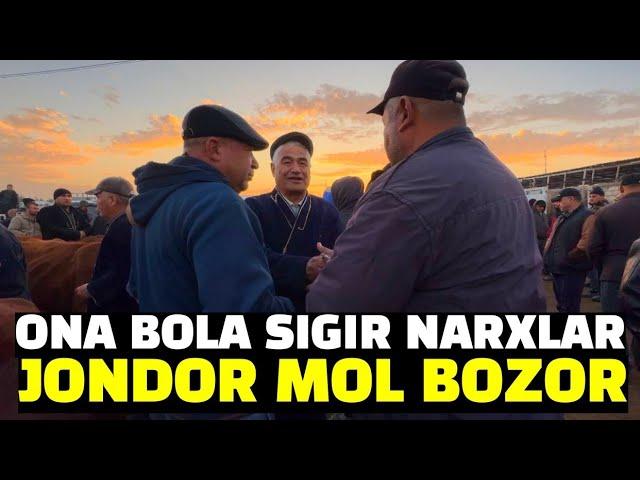 BUXORO JONDOR MOL BOZORI. ONA BOLA SIGIRLAR NARXLARI 03.11.2024