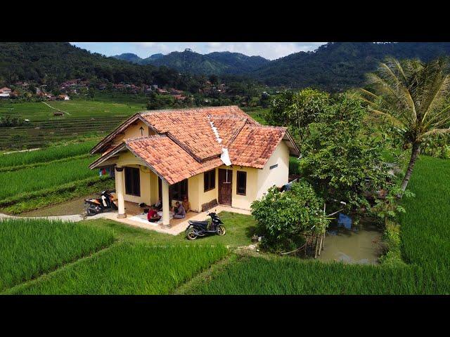 NGUMPUL NGOPI DI RUMAH TENGAH SAWAH DENGAN SUASANA PEDESAAN YANG INDAH DAN BETAH