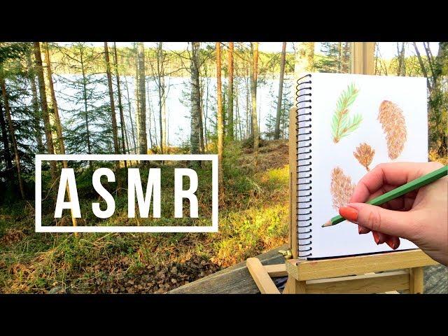 ASMR Colored Pencil Drawing Outside || No Talking