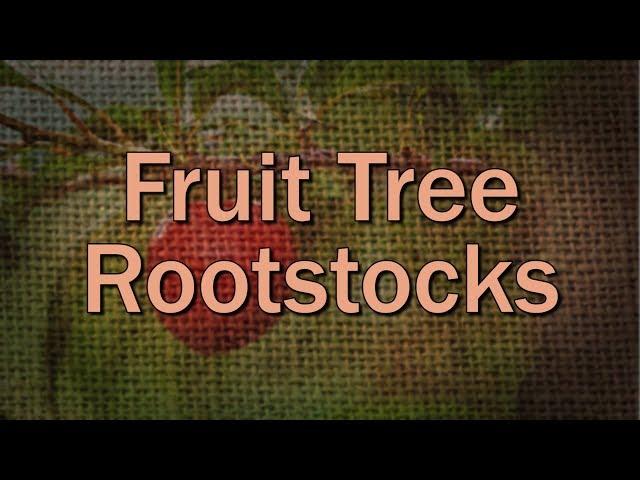 Fruit Tree Rootstock Basics – Family Plot