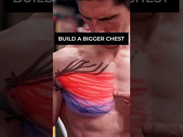 STOP Messing Up Chest Training (EASY FIX!)
