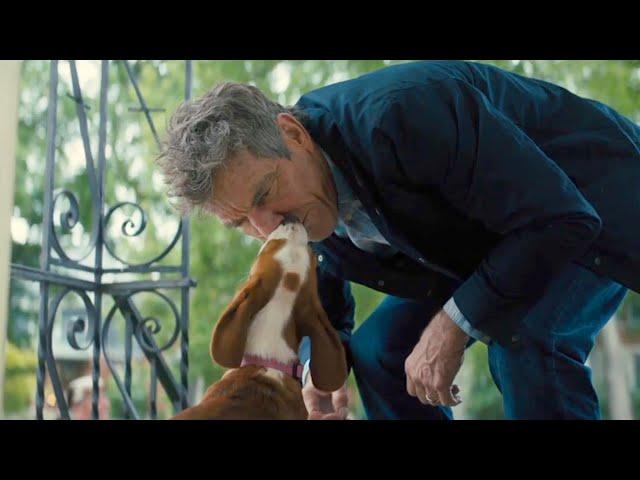 A Dog's Journey | Bailey Finds Ethan | Film Clip | Own it now on Blu-ray, DVD & Digital