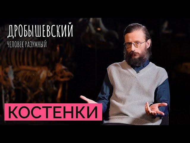 Cамая древняя стоянка человека на европейском континенте: Костёнки // Дробышевский. Человек разумный