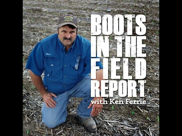 Episode 339: Boots In The Field Report August 5, 2024