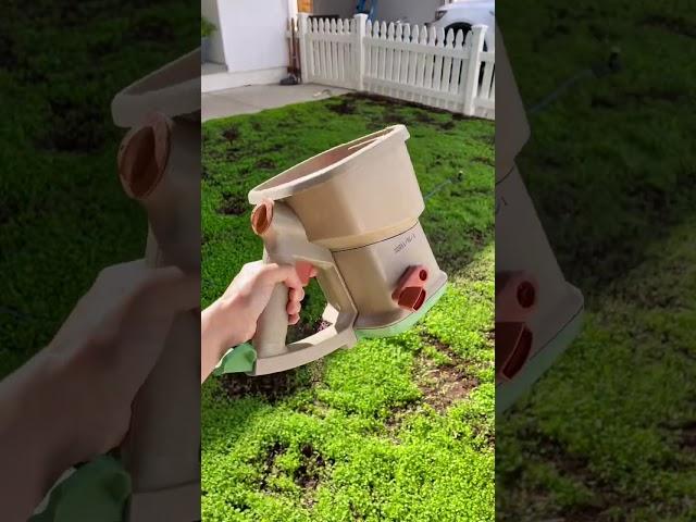 How To Re-Seed A Clover Lawn (After Planting)  #cloverlawn #clover #landscaping #diy #diylandscapin