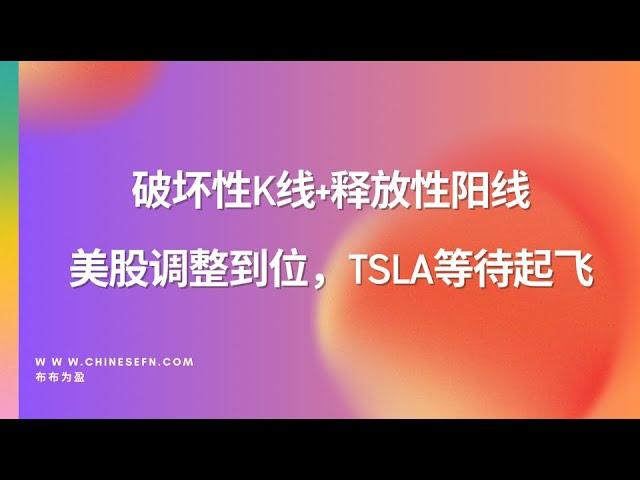 破坏性K线+释放性阳线，美股调整到位，TSLA等待起飞